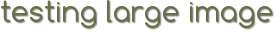 Testing Large Image