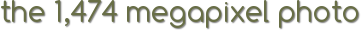 The 1,474 Megapixel Photo