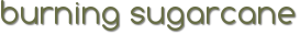 Burning Sugarcane