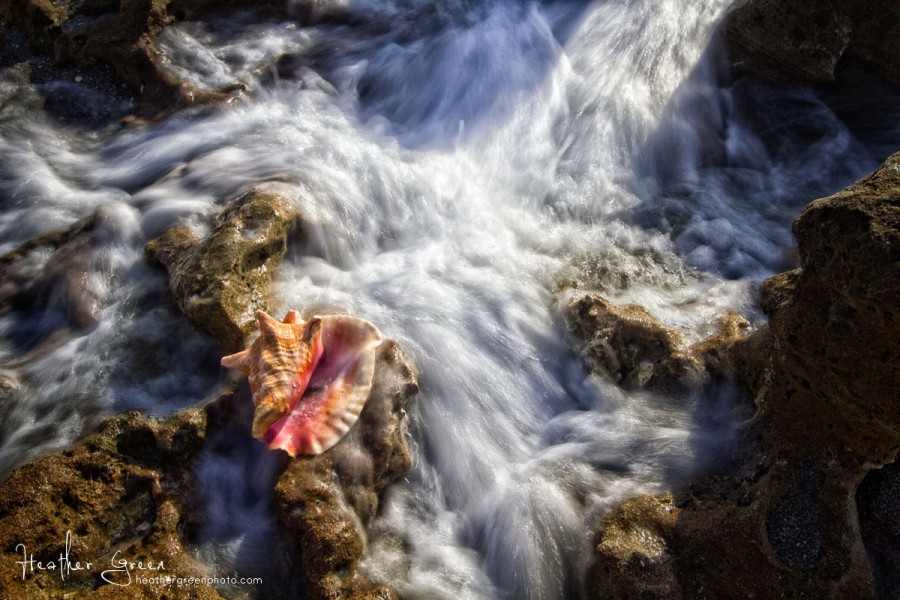 _MG_7691 copy